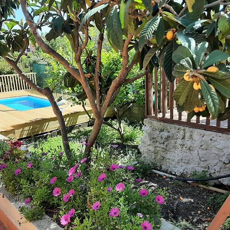 Carrubo - Giardino In Citta Villa Catania-Fontanarossai nemzetközi repülőtér Kültér fotó