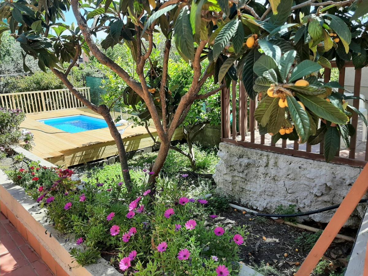 Carrubo - Giardino In Citta Villa Catania-Fontanarossai nemzetközi repülőtér Kültér fotó