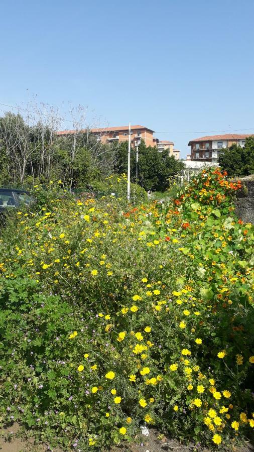 Carrubo - Giardino In Citta Villa Catania-Fontanarossai nemzetközi repülőtér Kültér fotó