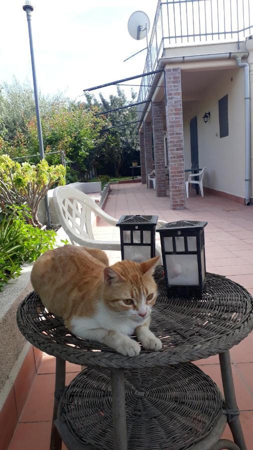 Carrubo - Giardino In Citta Villa Catania-Fontanarossai nemzetközi repülőtér Kültér fotó